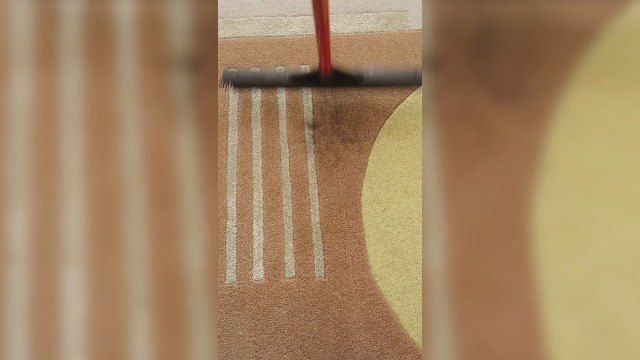 Suimlmta Rubberen bezem tapijtbezem rubberen borstel met trekker, verstelbare lange handgreep, zachte borstel aan de binnenkant voor huisdierhaar, hardhouten tegels en schone ramen
