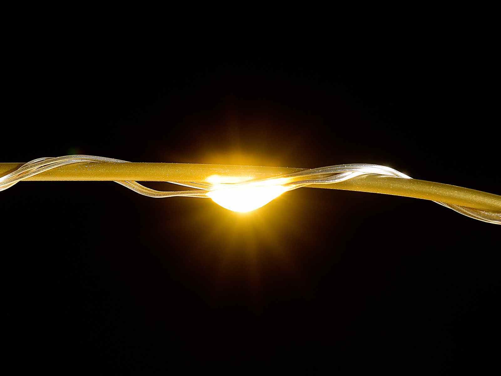Gruppo Maruccia - Albero Natalizio Dorato con 1700 Luci Led Bianco Caldo - Albero di Natale Artificiale per Interni ed Esterni Altezza 2,1 Metri 297 Rami Luminosi