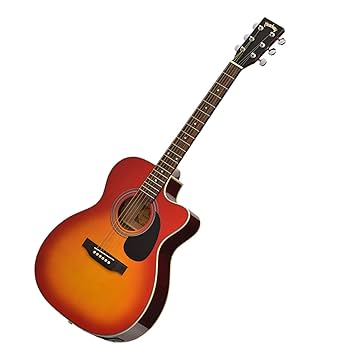Headway アコースティックギター サンバースト　カバー有り HeadwayUniverse Series HJ-BUDDY ~Sunburst~(SB) 【Webショップ