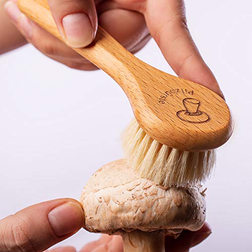 Valentino Garemi Mushroom Cleaning Brush – Kitchen Sink Utensil Restaurant House Use – Made in Germany - Image 7