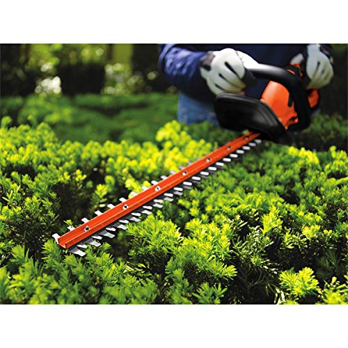 BLACK+DECKER 20V MAX Cordless Hedge Trimmer, 22-Inch, Tool Only (LHT2220B),MEDIUM
