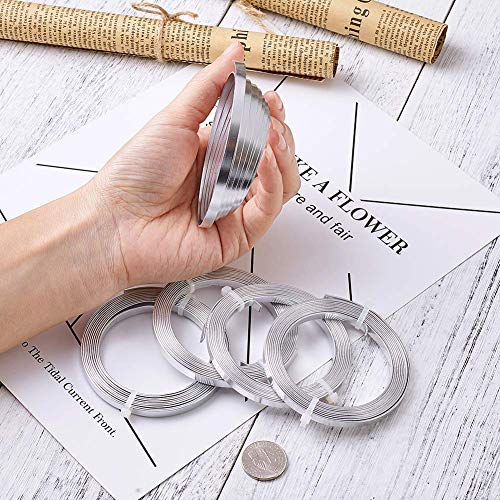 Pandahall 5x1mm Silver Color Flat Aluminum Wire 18 Gauge Wide Metal Artistic Wire for DIY Sculpture and Crafts Jewelry Making, 5 Rolls, Each Roll 32.8 Feet