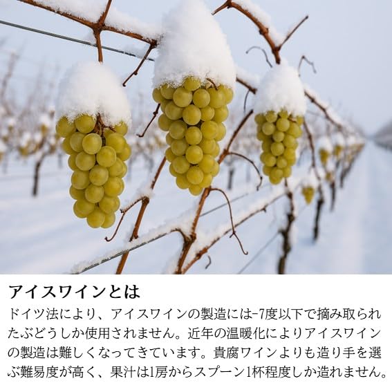 Amazon.co.jp: 希少アイスワイン 濃厚 トロトロ 貴族のデザートワイン