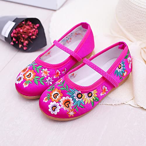 IDOTTA Girls Costume Shoes For Cosplay Embroidery Mary-Jane Flats Shoes3