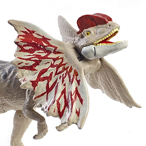 Jurassic World GWY30 - Dino-Angriff Dilophosaurus Dinosaurier-Actionfigur mit beweglichen Gelenken, Dinosaurier… – Bild 4