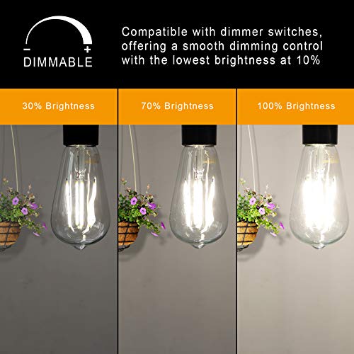 image for Ascher Dimmable Vintage LED Edison Bulbs, 6W, Equivalent 60W, Bright C