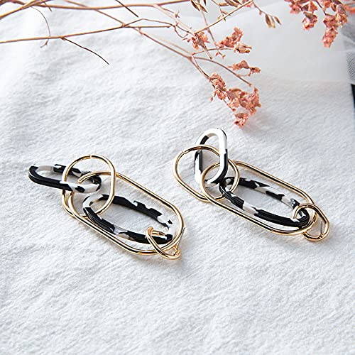 Acrylic Leopard Print Earrings Long Pendant Geometric Resin Oval Earrings Fashion Exaggerated Leopard Dangle Earrings for Women4
