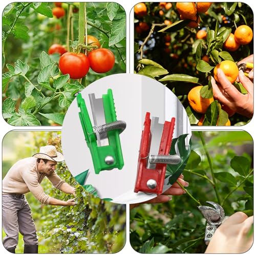 2 tijeras para pulgar para cosecha de frutas miniatura 2