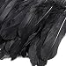 2M Cinta de plumas de ganso,Ajuste de la franja de plumas de...