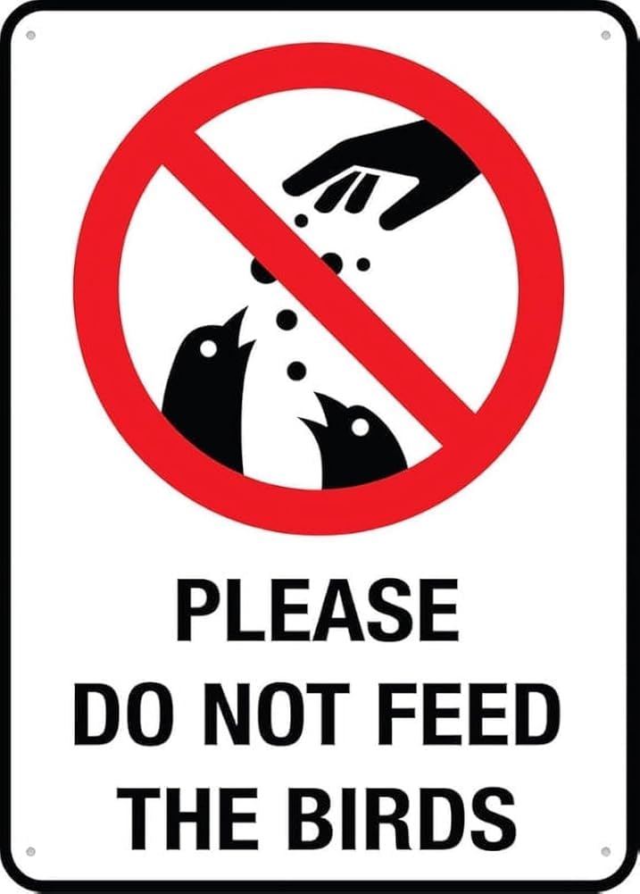 Please Do Not Feed The Birds Sign Warning Tin Sign Home Kitchen Farm Garden Garage Wall Decor Gift For Women Men 8x12 Inch