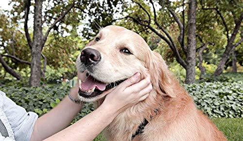 Dog Teeth Cleaning Treats Puppy - Dog Healthy Teeth Care - Gum And Teeth Complex - Stop Plaque Build Up - Vitamin D For Dogs - 2 Bottles (120 Tablets) #TOP4