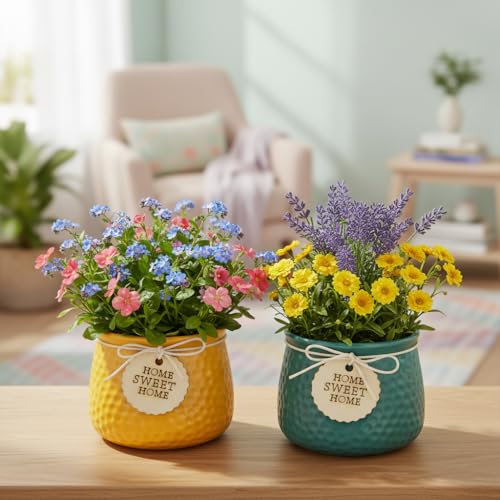 Image of Xtore Vibrant Textured Ceramic Planter Set of 2 with Wooden Tag Accent | Rustic Decorative Pots for Indoor Plants, Desk & Shelf Styling (Pack of 2, Planter only)