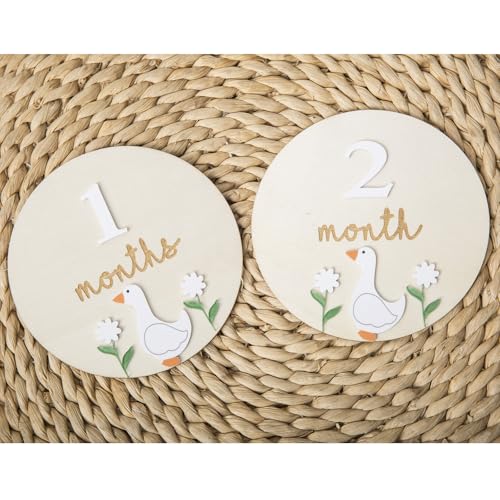 Image of Goose Monthly Milestone Cards - Wooden Discs & 3D Baby Monthly Milestone Signs for Baby Shower & Announcement