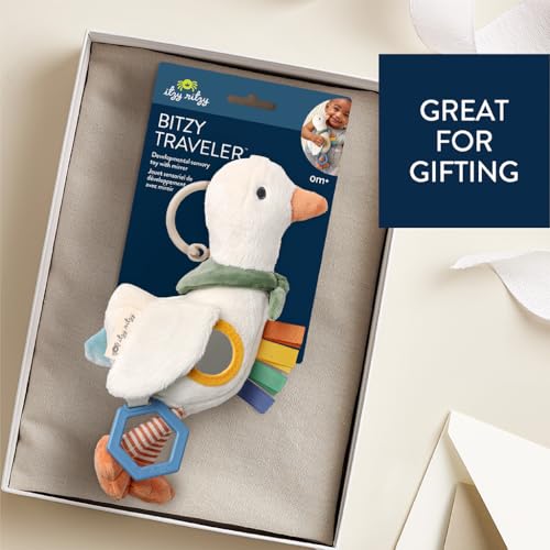 Itzy Ritzy Bitzy Traveler Toy
