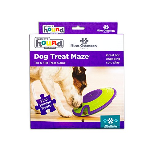 Outward Hound by Nina Ottosson Dog Treat Maze Dog Puzzle Enrichment Toy, Level 2 Intermediate, Green