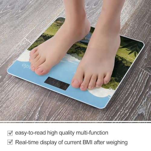 Báscula Digital de Baño Alvarado con Cristal Templado miniatura 5