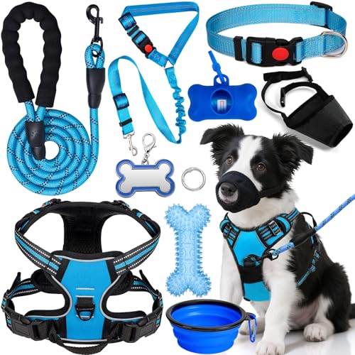 YXFDOYT No-Pull Dog Harness & Leash Set (Blue, Medium)