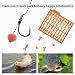 Imagen de Luroad 2 4 6 8# Anzuelos Carpfishing Hair Rigs 20 Piezas