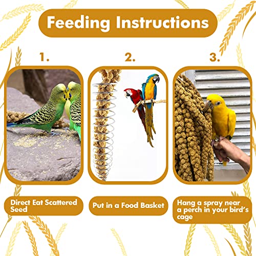 Jmxu'S SPRAY-1 1Lb Spray Millet Treat For Birds Parakeets thumb #4
