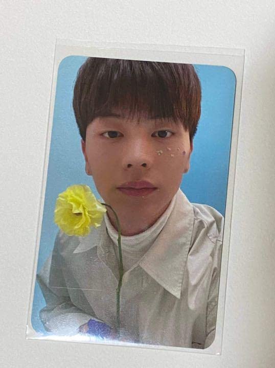 Amazon.co.jp: BTOB BeTogether CUBAKER ソンジェ トレカ : Hobbies