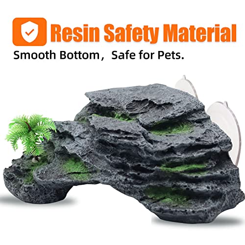 Plateforme tortue avec ventouses en résine décorative noir roche - 6
