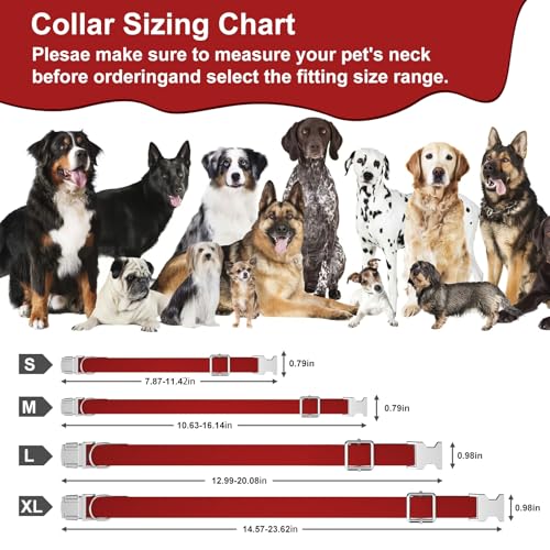 Asvin Samt-Hundehalsband – Verstellbare Hundefliege, Metall-Schnellverschluss – Für alle Hundegrößen extra robust