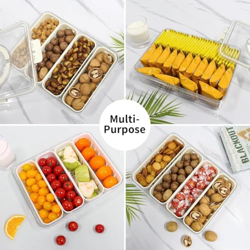 Image of HAMSA Multipurpose Spice Jars For Kitchen, Masala Box Container For Kitchen, Small Spices Box Rack, Seasonings Jar - Acrylic (Fridge Storage Boxes with Lid & Handle)