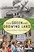 This Green and Growing Land: Environmental Activism in American History (American Ways)