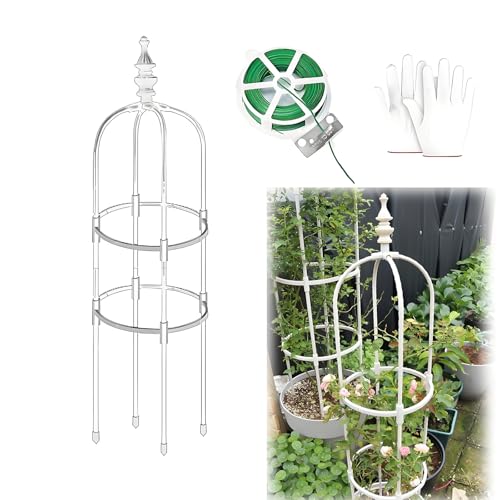 Garden Obelisk Rankhilfe Rosen Rankgitter Metall Rostfrei Für Kletterpflanzen Rosen Clematis 60cm 90cm 120cm 150cm 180cm Hoch 20cm 25cm 28cm Ø Rankturm Für Tomaten Gurken(Weiß,20x60cm)