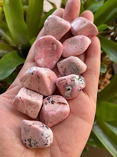 Image of GAF TREASURES 1 /2 LB Rhodonite Tumbled Stones, Polished Rhodonite Gemstone, Rhodonite Healing Crystals (Rhodonite)