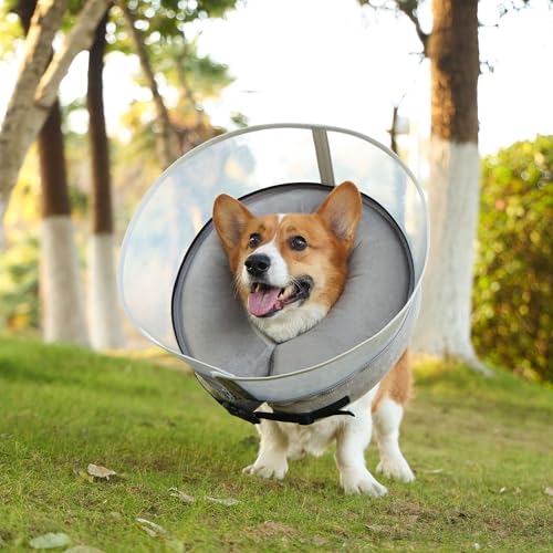 PEUZ Aufblasbare Halskrause für Hund – Verstellbarer Leckschutz Hund Umfang 40-48 cm, Komfortabler Schutzkragen nach OP – Grau L