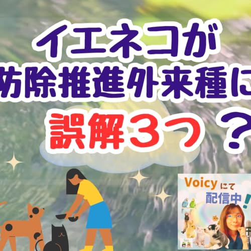 イエネコが防除推進外来種に？誤解３つ（インスタLIVEアーカイブ）🐶🐱