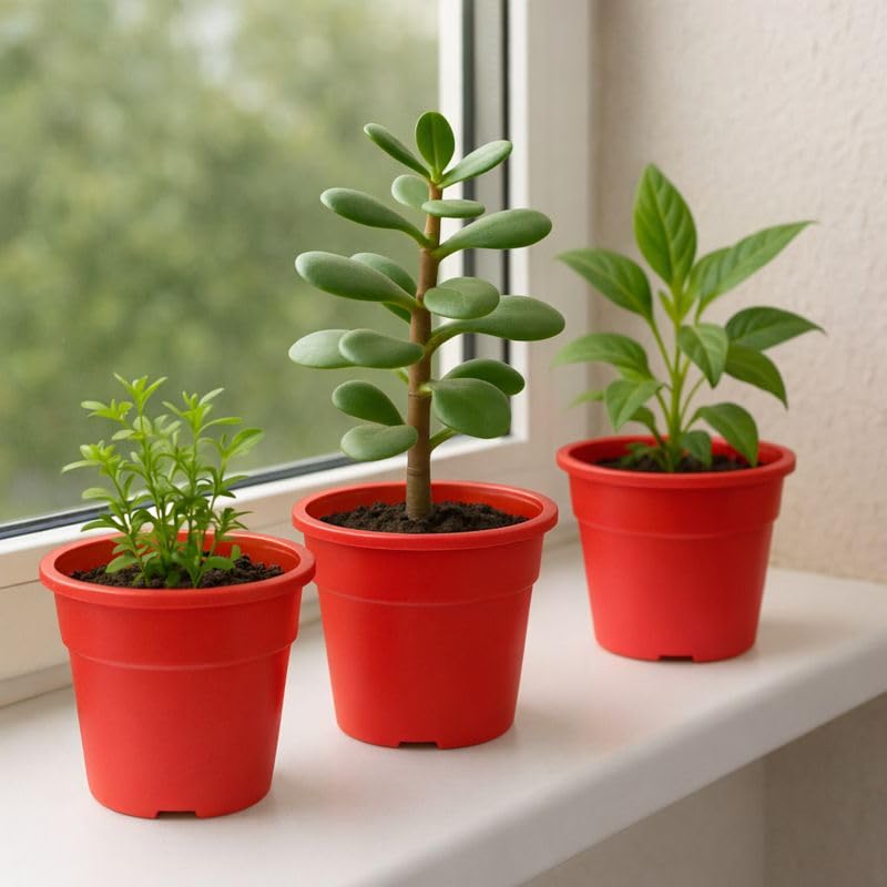 Image of Indian Gardens - 4 inch Indoor (Pack of 10) Plastic Small Colour pots | Plastic Plant Pot for Terrace Garden (Red)