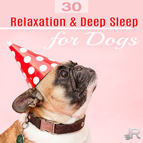 Amazon Music Pet Care Club / Pet Music AcademyのRelaxation & Deep