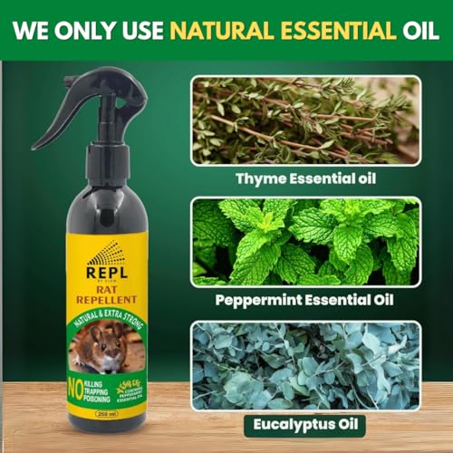 Image of Repl Rat Repellent Spray For Car & Home -250ml | 100% Natural Oils Based Rat Spray For Car Engine And Interior | Not Rat Killer But Rat Repellent For Home | 30 Days Long Bike & Car Rat Protector