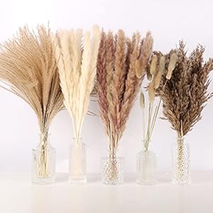 NT-NETING-75Pcs-Pampas-Grass-Decor-10Pcs-White-Pampas-Grass-20Pcs-Brown-Pampas-Grass-10Pcs-Bunny-Tail-30Pcs-Reed5Pcs-Fluffy-Dried-Pompas-Grass-Flower-for-Spring-Home-Wedding-Table-Vase-Boho-Decor - Urban Country Home Decor NT-NETING-75Pcs-Pampas-Grass-Decor-10Pcs-White-Pampas-Grass-20Pcs-Brown-Pampas-Grass-10Pcs-Bunny-Tail-30Pcs-Reed5Pcs-Fluffy-Dried-Pompas-Grass-Flower-for-Spring-Home-Wedding-Table-Vase-Boho-Decor