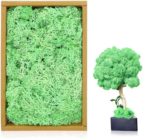 Nearly Natural 20 In. X 20 In. Artificial Moss Mat - Tractor Supply Co - Foto 6