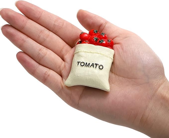 10 imanes decorativos de resina para refrigerador miniatura 3