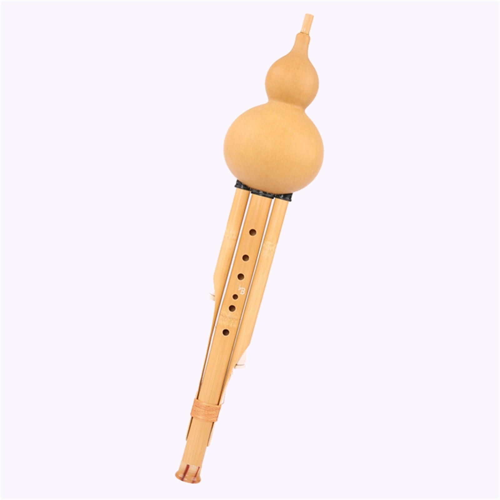 Cinese Hulusi Per Principianti Ensemble Di Prestazioni Professionali Tipo Jinzhu Hulusi A Sette Fori C Tune B Flat G Tune F Tune(F tune)