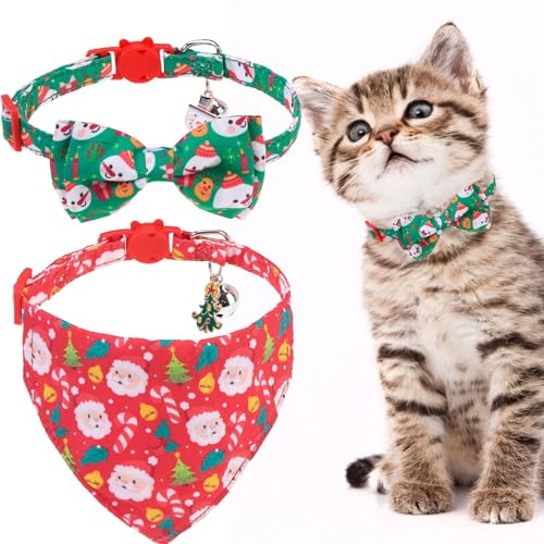 EXPAWLORER NX}X L  xt  - 2 pbN 킢 zf[ L  ߉\ NX}X ybg  O\ȒlN^Cƃo_i SobN ̎q j̎q L qL