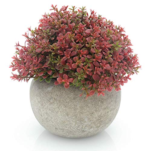 Velener Mini Plastic Artificial Pine Ball Topiary Plant with Pots for Home Decor
