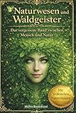 Naturwesen und Waldgeister - Das vergessene Band zwischen Mensch und Natur: Naturwesen, Naturrituale, Feen Elfen, Naturgeister, Waldmagie, Mythen, ... Lehrwerke für ein bewusstes Leben, Band 11)