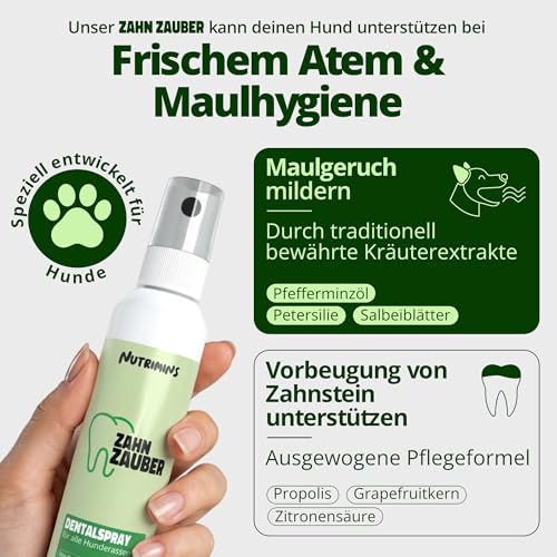 NUTRIMINS Dentalspray für Hunde 100ml – Speziell für Hunde entwickelte Zahnpflege, hergestellt von Experten in Deutschland – Sanftes Zahnspray zur Unterstützung bei Zahnbelag, Mundgeruch & Zahnstein