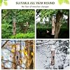 Metal Bird Feeder Tube Hanging Wild Bird Seed Feeder Aluminum Six Port Bird Feeders,1.4 mm Extra Thick Solid Tube Transparent with Steel Hanger Great for Attracting Birds (Coffee 2PK) - 6