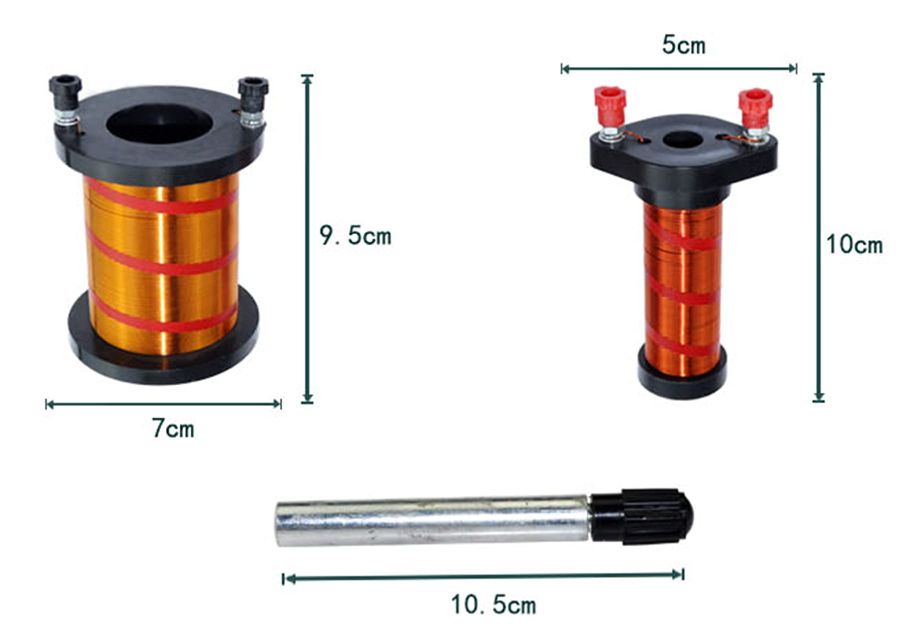 Biological Set W/32mm Dia Block