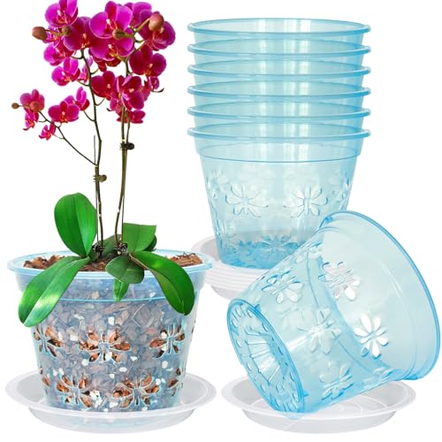 Orchid Pot, 8 Pack 6 Inch Orchid Pots with Holes & Saucers, Clear Blue