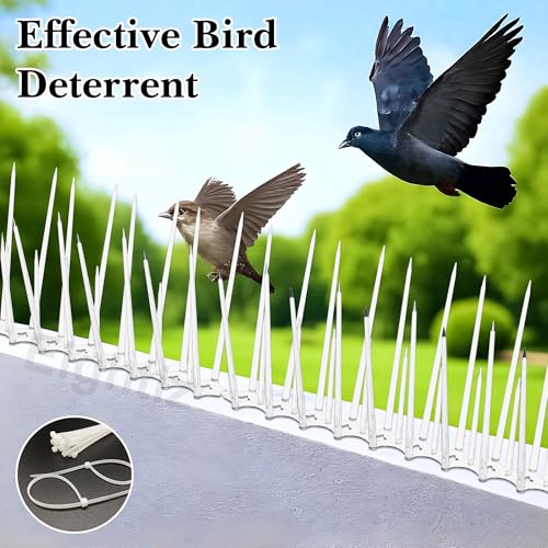 Image of Eightiz (30 Pcs with Zip Ties) Bird and Pigeon Spikes, Control Anti Bird Plastic Spikes for AC Balcony Railing Window Home Protection from Pigeon Dog Monkey Crow Kabootar Transparent(Polycarbonate)
