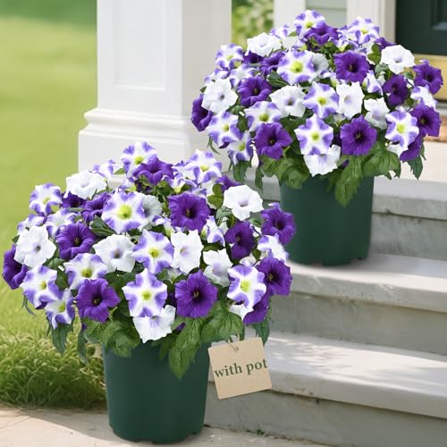 MARTINE MALL Artificial Flowers for Outdoors, 2 Potted Realistic Fake