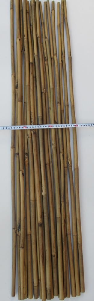 Amazon | 天然竹 支柱 (女竹) 長さ約119cm～約120cm (約直径0.9