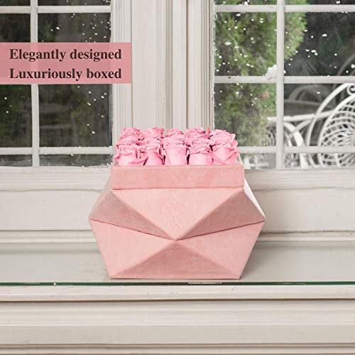 Premium Roses| Real Roses That Last a Year | Fresh Flowers| Roses in a Box (Pink Box, Large)